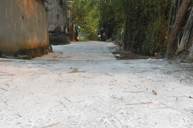 Thanh Hoa: Ca xa phu trang voi bot chong dich ta lon chau Phi