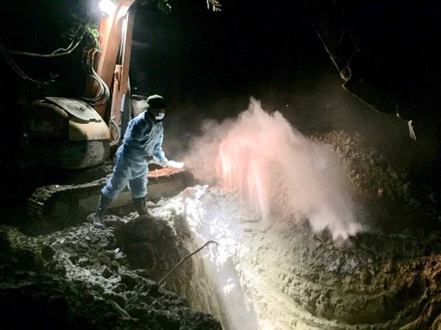 Thanh Hoa: Ca xa phu trang voi bot chong dich ta lon chau Phi-Hinh-4