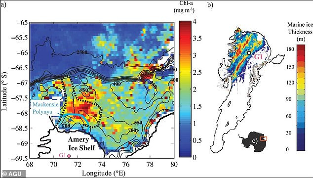 Một nghiên cứu mới đây của các nhà nghiên cứu Stephen Warren, Collin Roesler, Richard Brandt và Mark Curran tìm ra nguyên nhân khiến một số tảng băng ở Nam Cực có màu xanh hiếm gặp.