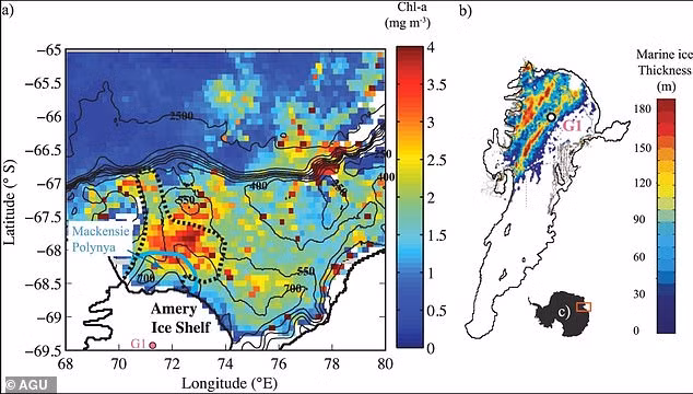 Một nghiên cứu mới đây của các nhà nghiên cứu Stephen Warren, Collin Roesler, Richard Brandt và Mark Curran tìm ra nguyên nhân khiến một số tảng băng ở Nam Cực có màu xanh hiếm gặp.