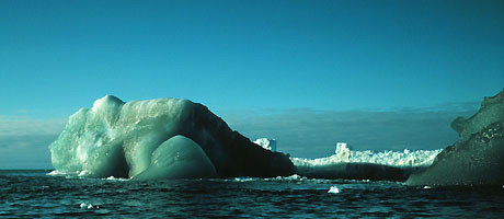 Khi ấy, một câu hỏi khác đặt ra đối với các chuyên gia là sắt đến từ đâu. Theo các chuyên gia, sắt rất hiếm gặp ở nhiều vùng trên đại dương.