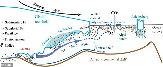 Cụ thể, nhóm nghiên cứu phát hiện có một lượng lớn sắt trong lõi băng ở Nam Cực.