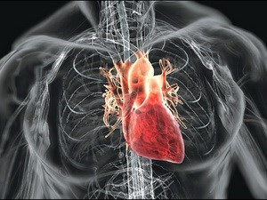 Một trường hợp nổi tiếng là của Jaime Sherman. Trước khi trải qua ca ghép tim, cô chưa bao giờ nghĩ sẽ có lúc chơi thể thao hoặc ăn món ăn Mexico. Kể từ sau khi trải qua ca ghép tim và bình phục, thói quen của Sherman có sự thay đổi lớn. Cụ thể, Sherman tham gia đội bóng chày, đi tập bơi và thường xuyên xem các trận bóng đá, thích ăn những món cay...