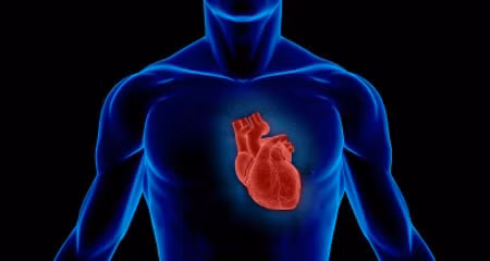 Về sau, cô bé được các bác sĩ, chuyên gia tâm lý điều trị và có thể mô tả chi tiết về kẻ sát nhân đã giết bé gái hiến tim cho em. Nhở vậy, cảnh sát bắt được hung thủ gết hại bé gái trong vụ án.