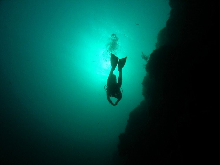 Loat bi an “ma quai” trong long dai duong “danh do” nhan loai