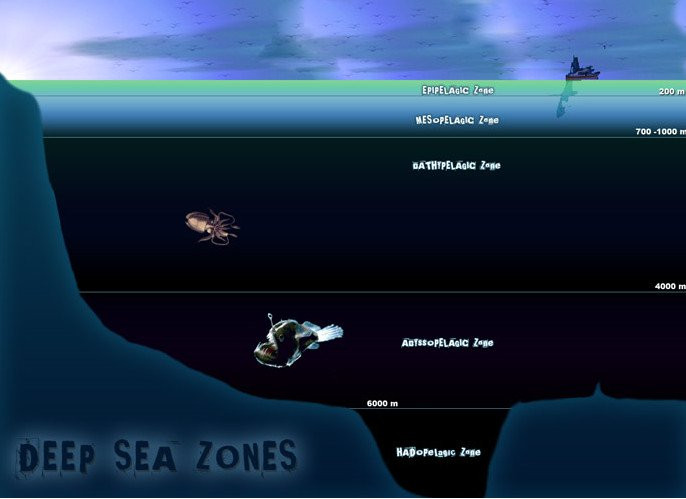 Loat bi an “ma quai” trong long dai duong “danh do” nhan loai-Hinh-2