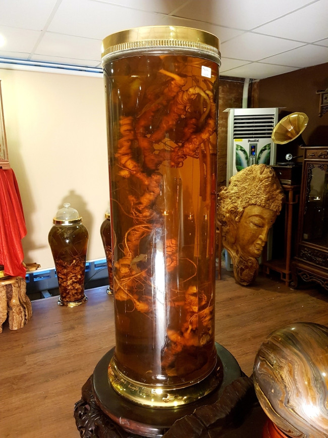 Đây là củ sâm đắt nhất trong bộ sưu tập của anh. Củ sâm này anh đã mua khá lâu, tại thời điểm đó không ai dám bỏ tiền ra mua vì nó có giá vài tỷ đồng. Không ít đại gia biết đến và trả giá rất cao nhưng anh vẫn chưa bán.