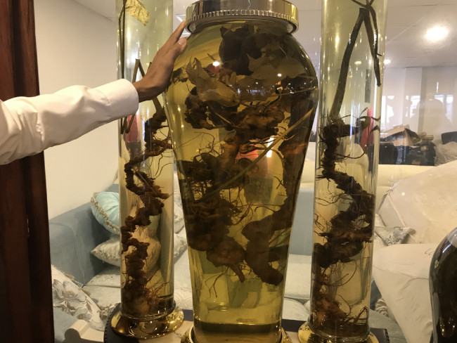 Anh cho biết khó khăn nhất trong quá trình sưu tầm chính là tài chính. Vì thời điểm đó, sâm ngọc linh giá chỉ khoảng 4 triệu đồng/kg nhưng so với thời điểm đó là cao.