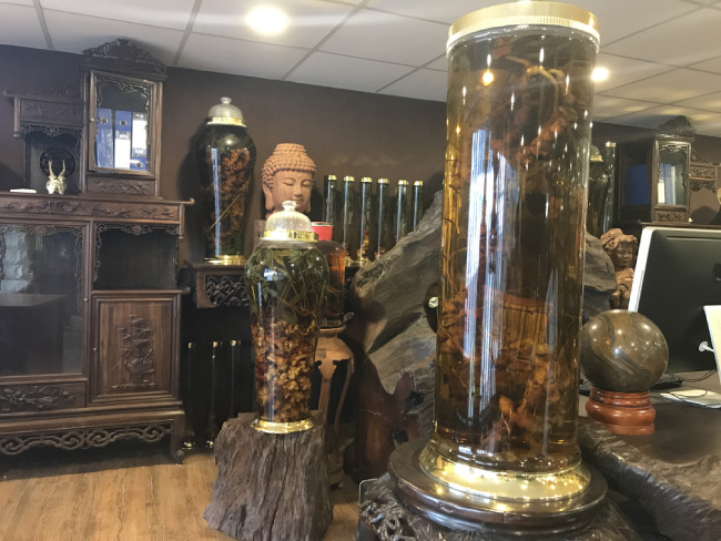 Theo anh, giá sâm ngọc linh năm nay bị đẩy lên cao rất nhiều. Anh là người rất bạo mua sâm cũng không dám mua.