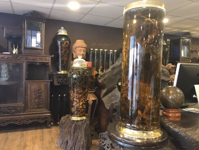 Theo anh, giá sâm ngọc linh năm nay bị đẩy lên cao rất nhiều. Anh là người rất bạo mua sâm cũng không dám mua.