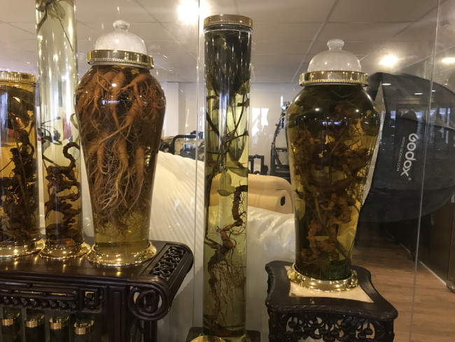 Anh mua nhiều hơn để chăm sóc sức khỏe của các thành viên trong gia đình. Lâu dần, những củ sâm ngọc linh anh mua về giữ lại dùng dần trở thành một bộ sưu tập “khủng”.