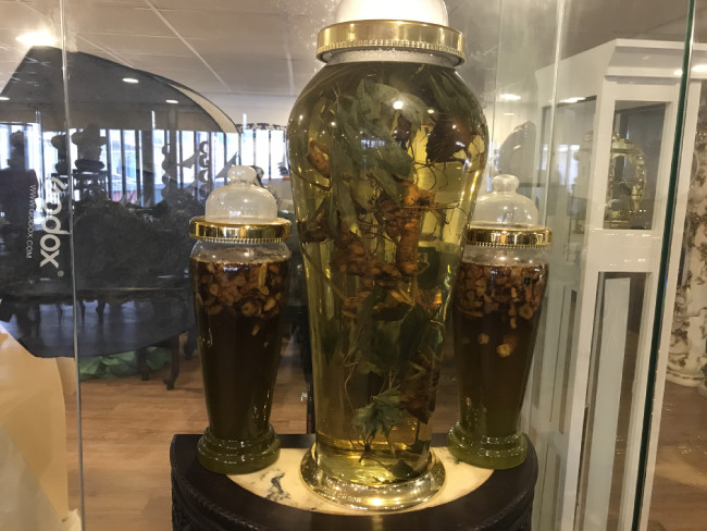 Nói về sâm ngọc linh, anh cho biết giá trị của một củ sâm phụ thuộc vào nhiều yếu tố.