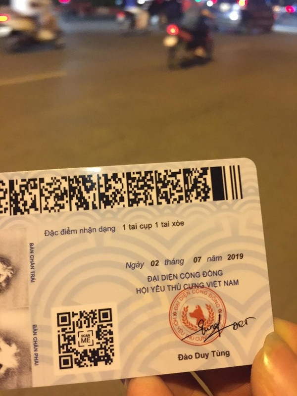 Dan mang day song 'Can cuoc thu cung' sao chep nguyen si Can cuoc cong dan-Hinh-3