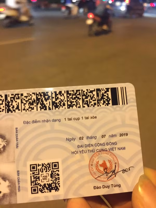 Dan mang day song 'Can cuoc thu cung' sao chep nguyen si Can cuoc cong dan-Hinh-3