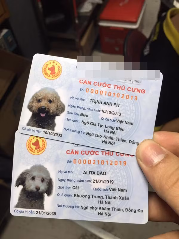 Dan mang day song 'Can cuoc thu cung' sao chep nguyen si Can cuoc cong dan