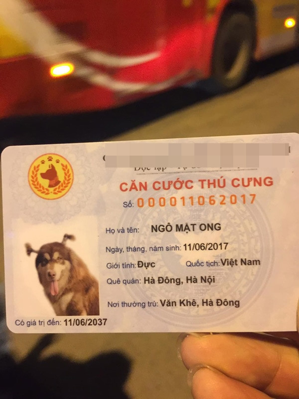 Dan mang day song 'Can cuoc thu cung' sao chep nguyen si Can cuoc cong dan-Hinh-2