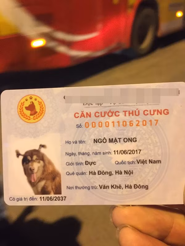 Dan mang day song 'Can cuoc thu cung' sao chep nguyen si Can cuoc cong dan-Hinh-2