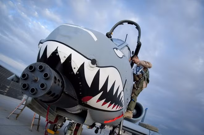 A-10 Thunderbolt II (Warthog) - cường kích chủ lực của Không quân Mỹ với 291 chiếc đang hoạt động. A-10 nổi tiếng với khẩu pháo GAU-8 Avenger 7 nòng 30 mm có thể bắn thủng giáp xe tăng. Mỹ đang dự định cho A-10 ngưng hoạt động để thay thế bằng F-35 nhưng chưa được Quốc hội phê duyệt.