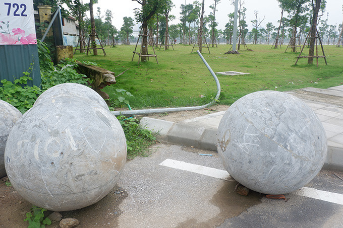 Một người dân thường xuyên tập thể dục ở nơi này cho biết: "Họ cứ để đấy nếu ai thích lấy thì cứ việc lấy mà mang về làm cảnh ở trong vườn. Cháu lấy à? Lấy đi".