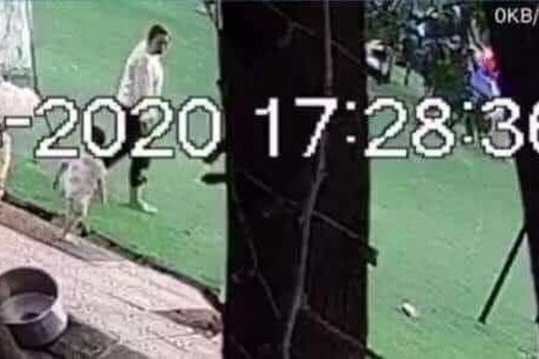 Ngay sau khi nhận được tin báo, Giám đốc Công an tỉnh Bắc Ninh đã chỉ đạo Công an thành phố Bắc Ninh phối hợp Phòng Cảnh sát hình sự, Phòng Cảnh sát cơ động và các lực lượng tổ chức tìm kiếm cháu bé tại công viên và khu vực xung quanh nhưng không thấy.