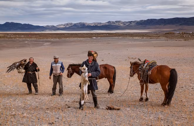 Mục tiêu của chim ưng chủ yếu là cáo và các loại động vật nhỏ khác dù nó có thể giết chết một con sói tơ.
