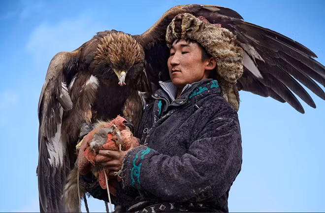 Sau một cuộc đi săn thành công, người đàn ông này thưởng cho con đại bàng của anh ta lá phổi của con mồi. Đó là phần thưởng lớn nhất đối với nó.