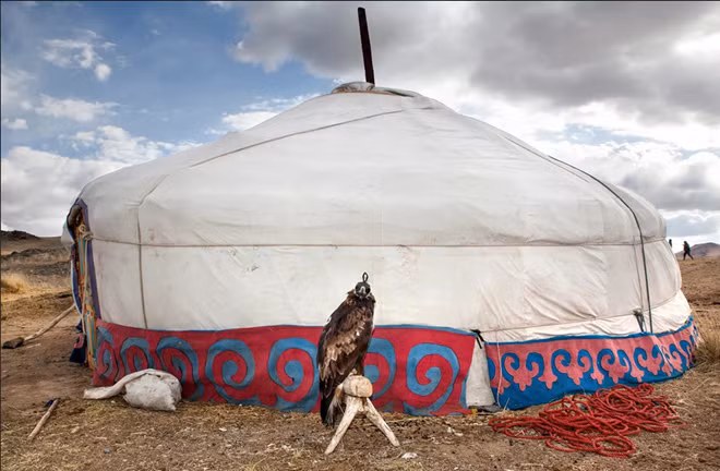 Ngày nay, nghệ thuật đi săn cùng đại bàng đang dần mai một. Chỉ khoảng 70 thợ săn thuần dưỡng loài chim này còn hành nghề. Đối với họ, công việc đó không chỉ là một truyền thống quan trọng hay một môn thể thao lạ thường mà là cách mưu sinh.