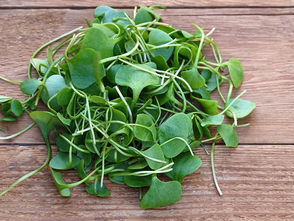 Cải xoong. Cải xoong chứa rất ít calo, nhưng dồi dào các dinh dưỡng thực vật như isothiocyanates và các chất chống oxy hóa với nhiều đặc tính phòng ngừa bệnh tật. Các nhà khoa học hiện đại đã xác định được hơn 15 chất vitamin cần thiết và chất khoáng có chứa trong cải xoong. Loại rau này có nhiều chất sắt hơn rau chân vịt, nhiều canxi hơn sữa, và nhiều vitamin C hơn cam.