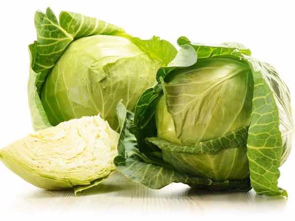 Bắp cải. Bắp cải là thực phẩm ít calo và dồi dào chất chống oxy hóa và vitamin C, cùng với vitamin K – khoáng chất chống đông máu.