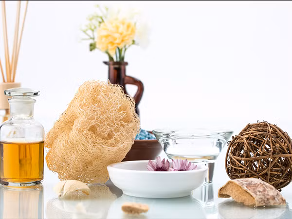 Xơ mướp. Dụng cụ này là một trong những nơi sinh sôi và phát triển của vi khuẩn cùng nấm mốc. Trong ngóc ngách và vết nứt của mướp là không gian sinh sản cho nấm, nấm mốc và vi khuẩn. Vì vậy, để đảm bảo vệ sinh, bạn nên thay đổi xơ mướp mỗi tháng một lần.