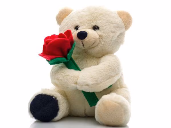 Thú nhồi bông. Đồ chơi yêu thích này được xem là cụ nam châm hút bụi bẩn và là môi trường sinh sống của ve bụi gây dị ứng đường hô hấp. Hãy thường xuyên giặt, rửa đồ chơi này và chắc chắn rằng không chơi chúng trên giường của bạn.