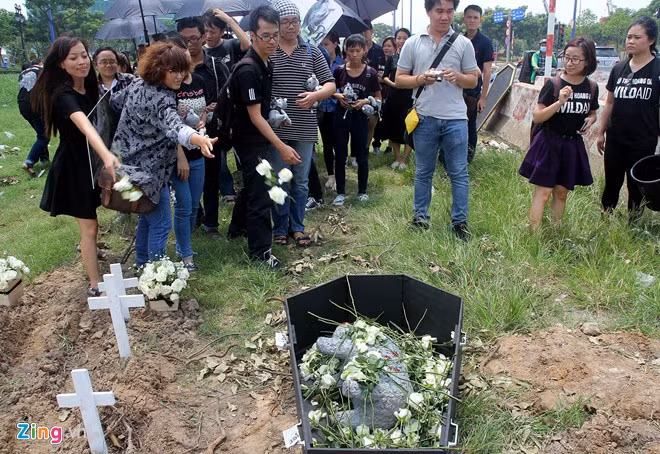 Từng cành hoa hồng trắng lần lượt được ném vào "quan tài" hai mẹ con tê giác.