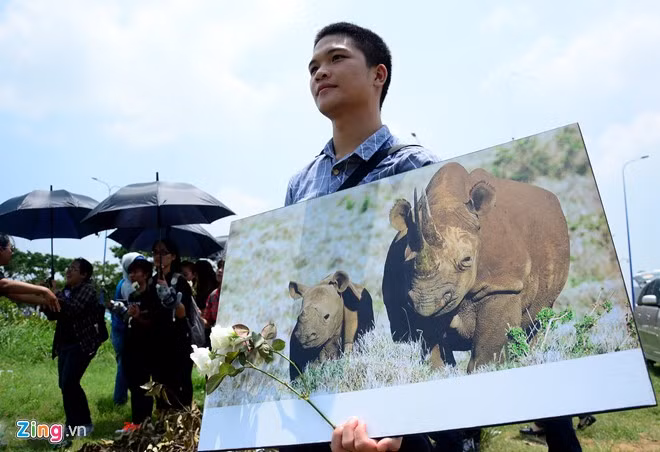 Đám tang kỳ lạ này nằm trong khuôn khổ chiến dịch ‘Chấm dứt sử dụng sừng tê’ do trung tâm CHANGE phối hợp cùng tổ chức Cứu trợ Hoang dã (WildAid) và Quỹ Hoang dã Phi Châu (AWF). Đây cũng là một trong hàng loạt hoạt động đang diễn ra sôi nổi trên toàn cầu nhằm hưởng ứng ngày "Tê giác thế giới 22/9".