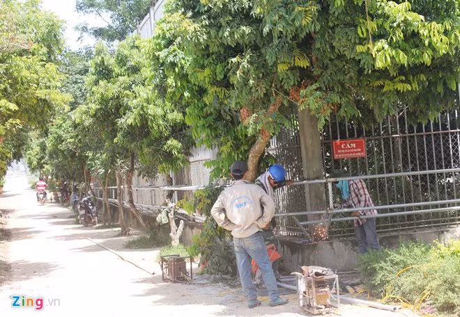 Ngày 7/9, hai tuần sau vụ việc, các khung sắt bên ngoài tiếp tục được hàn, gia cố. Trong lúc đó, du khách vẫn đến đây tham quan bình thường.