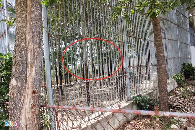 Vị trí chị Yến bị hổ vồ đứt lìa cánh tay.