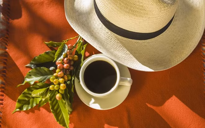 Cà phê, Tây Colombia: Là nơi có sản lượng cà phê lớn thứ 2 thế giới (sau Brazil), Colombia có các tour du lịch dành riêng cho người mê món đồ uống này. “Tam giác cà phê”, gồm Quindío, Caldas và Risaralda, có những trang trại nhỏ rải rác cạnh tuyến đường có phong cảnh hữu tĩnh, với nhiều cơ hội để thưởng thức một tách cà phê đen hảo hạng.