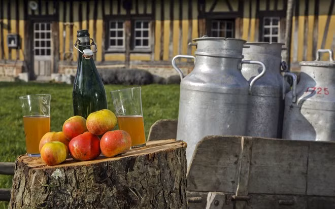 Rượu táo, Normandy, Pháp: Vùng Pays d’Auge của Normandy có những vườn táo thượng hạng. Du khách tới đây sẽ có cơ hội thưởng thức loại rượu táo ngọt ngào, được chưng cất theo phương pháp truyền thống.