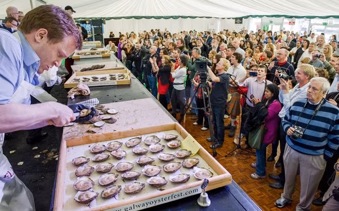 Hàu, Galway, Ireland: Thành phố Galway có nguồn hàu đẳng cấp thế giới. Vào tuần cuối tháng 9, lễ hội hàu quốc tế diễn ra với nhiều cuộc thi ăn thú vị. Người tham gia sẽ thưởng thức hàu sống mà không thêm gia vị gì, chỉ kèm một hớp bia đen Ireland.