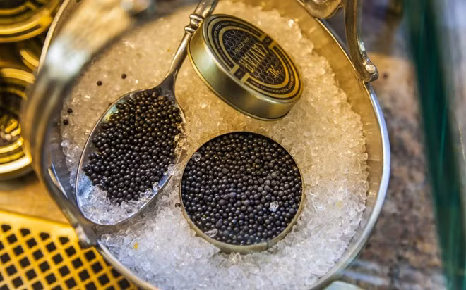 Trứng cá muối, St. Petersburg, Nga: Quán bar Caviar ở khách sạn Europe ở St. Petersburg là nơi lý tưởng để thưởng thức món đặc sản trứng cá muối thượng hạng, cùng các món ăn kèm truyền thống như bánh kếp, kem chua và trứng gà.