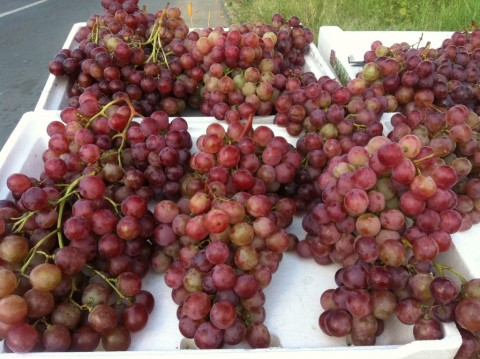 Nho. Theo Cục Bảo vệ thực vật (Bộ NN-PTNT) đã lấy 104 mẫu trái cây, rau củ nhập khẩu từ Trung Quốc và các nước khác đang lưu hành trên thị trường Việt Nam để phân tích chất lượng an toàn vệ sinh thực phẩm. Qua kiểm tra, đã phát hiện 2 mẫu nho Trung Quốc nhập qua cửa khẩu Lào Cai có dư lượng chất difenoconazole vượt ngưỡng 3-5 lần.