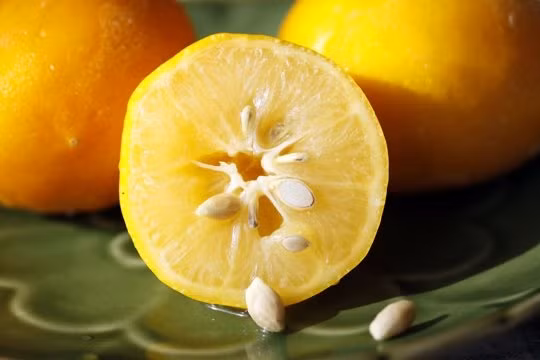 Hạt chanh + Tiêu đen. Tán nhuyễn hạt chanh cùng với hạt tiêu đen rồi trộn lẫn chúng với nhau. Thêm một chút nước rồi quấy đều tay để tạo thành dung dịch bột nhão. Dùng loại hỗn hợp này bôi lên da đầu, có thể ban đầu bạn sẽ có cảm giác nóng rát một chút, nhưng chỉ sau một thời gian ngắn bạn sẽ có thể thấy được tình trạng tóc gẫy rụng đã giảm thiểu hoàn toàn, thay vào đó là những lọn tóc mới chắc khỏe hơn.