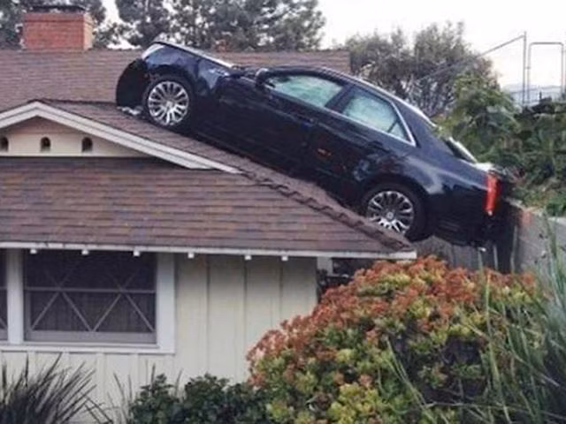 Phi thân lên mái nhà.