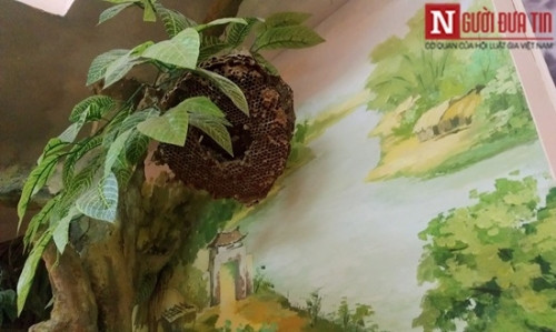 Tổ ong cũng được dùng làm một “vũ khí” hỗ trợ cho đồng bào chống địch càn quét.