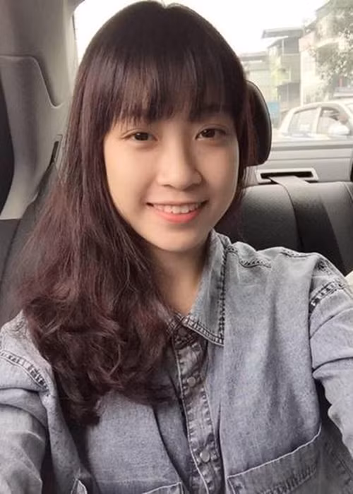 Trước khi đăng quang Hoa hậu Việt Nam 2016, Mỹ Linh từng tham gia cuộc thi mùa giải năm 2014. Tuy nhiên, vì lý do sức khỏe, cô bỏ thi trước đêm chung khảo phía Bắc. 