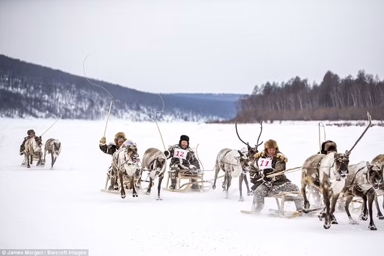 Một cuộc đua trong lễ hội tuần lộc Khatystyr, một sự kiện giúp hợp nhất các cộng đồng du mục ở Khatystyr, Nga. 