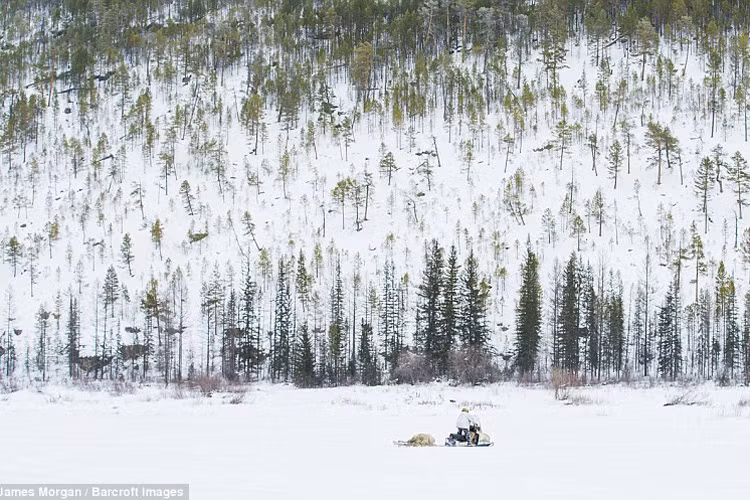Ion Maxsimovic lái xe tới khu trại săn mùa đông ở Sakha. 