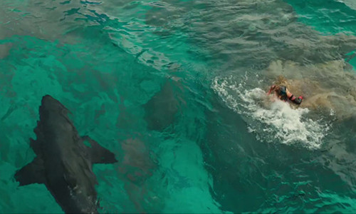 Cuộc chiến giữa cô gái Nancy Adams và con cá mập trắng dữ tợn.