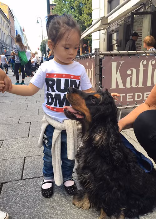 Nhóc tì nhà Đoan Trang bị thu hút bởi một chú chó dễ thương trên đường phố Oslo. 