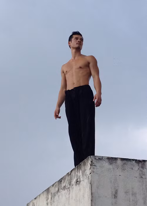 Hiện tại, bộ phim “Sứ mệnh trái tim” có sự tham gia của Williams đã gần hoàn tất những cảnh quay cuối cùng và đi vào giai đoạn hậu kỳ. Phim dự kiến công chiếu vào tháng 11/2016.