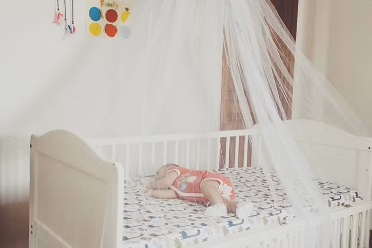 Chia sẻ của Lưu Hương Giang nhận được sự chú ý của người hâm mộ. Nhiều người khen cô nuôi con “mát tay”.